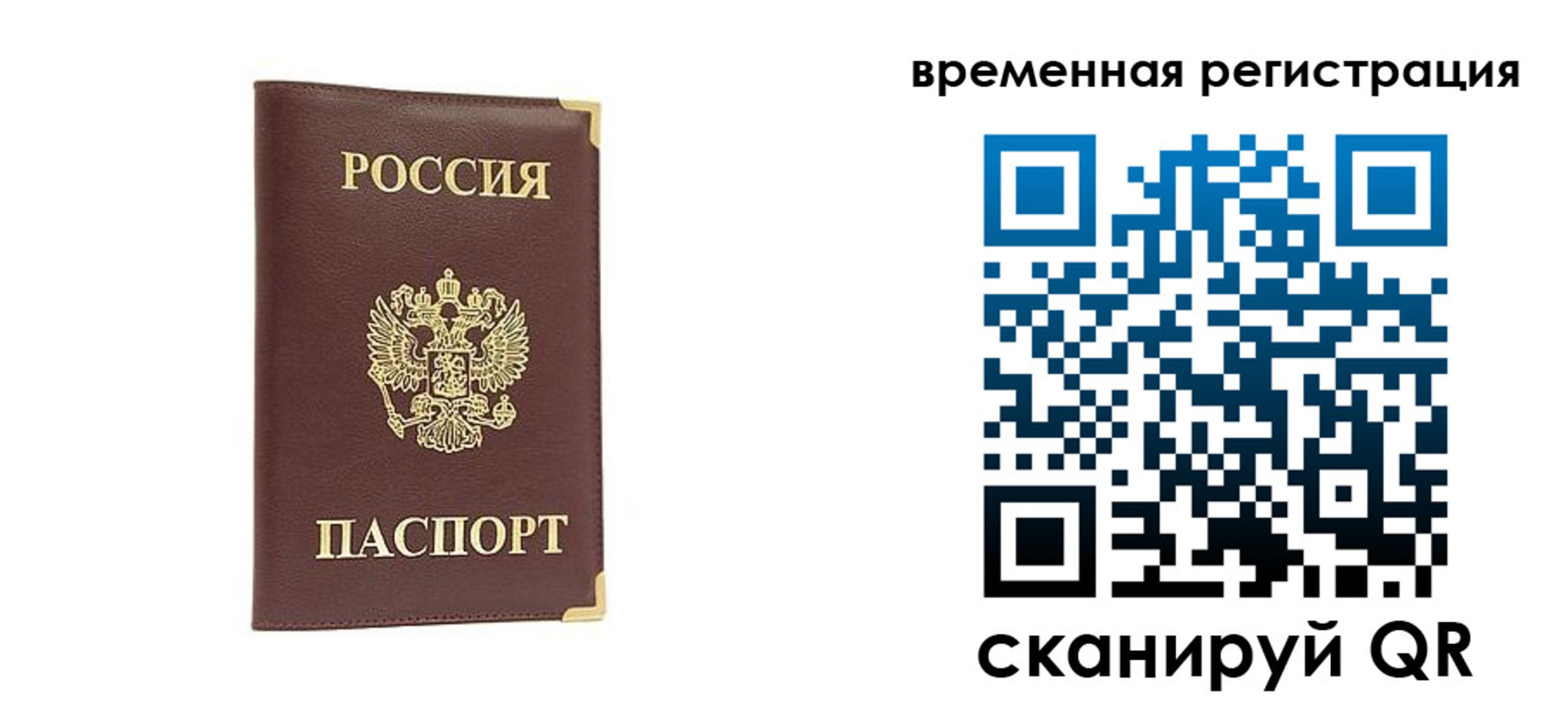 прописка от собственника в Долгопрудном